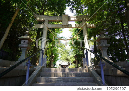 Shinohara Hachiman Shrine Torii - Kohoku Ward, Yokohama City - 105290507