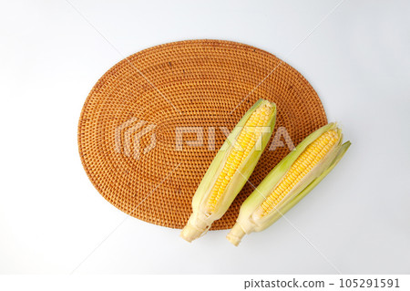 corn corn white background 105291591