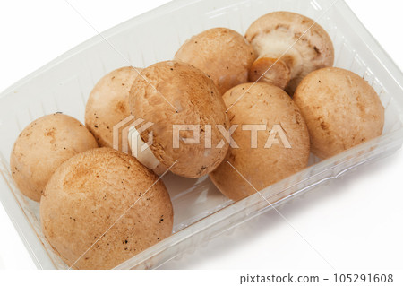 Mushroom Mushroom 105291608