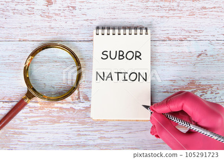 Subornation text written with pencil on paper notebook Subornation text written with pencil on paper notebook 105291723
