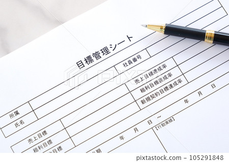 Write a "goal management sheet", a tool for clearly defining personal and team goals and tracking progress Write a "goal management sheet", a tool for clearly defining personal and team goals and tracking progress 105291848