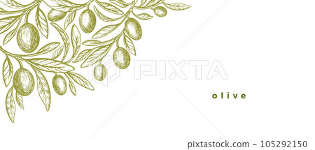 Olive leaves Art corner Vintage tree, green fruit 105292150