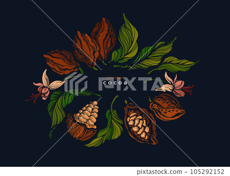 Cocoa fruit, symbol. Organic black raw chocolate Cocoa fruit, symbol. Organic black raw chocolate 105292152