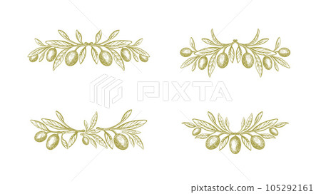 Olive symbol. Vector fruit, green leaves, branch Olive symbol. Vector fruit, green leaves, branch 105292161