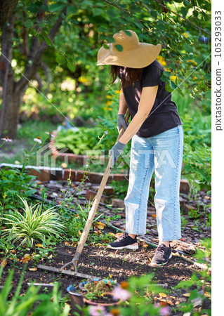 Gardener woman in hat and protective gloves digging soil with rake in garden. Gardening work Gardener woman in hat and protective gloves digging soil with rake in garden. Gardening work 105293033