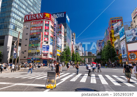 《東京》秋葉原電器街的行人天堂 105293197