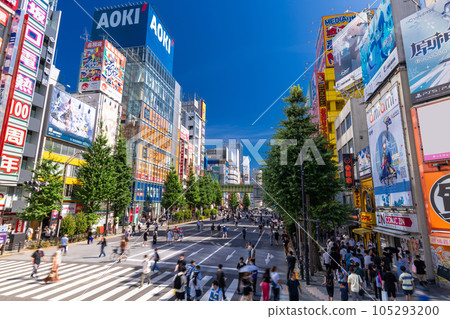 《Tokyo》Pedestrian Heaven in Akihabara Electric Town 105293200