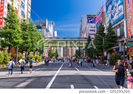 《Tokyo》Pedestrian Heaven in Akihabara Electric Town 105293203