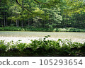 Kamikochi Summer 2023 105293654