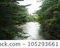Kamikochi Summer 2023 105293661