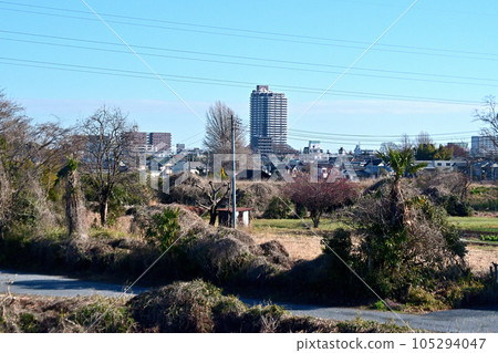 The center of Koga City seen from Shinmikuni Bridge The center of Koga City seen from Shinmikuni Bridge 105294047