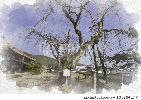 廣島縣三好市志駟櫻水彩風格的法源寺 105294177