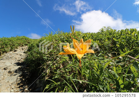 Tanigawadake mountain trail in Gunma Prefecture in July 2023 Tanigawadake mountain trail in Gunma Prefecture in July 2023 105295578