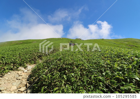 Tanigawadake mountain trail in Gunma Prefecture in July 2023 105295585