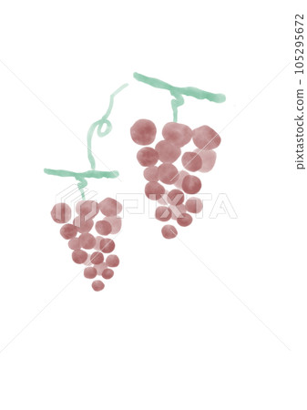 Watercolor red grape illustration Watercolor red grape illustration 105295672