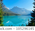 Canadian Rockies Emerald Lake Emerald Lake 105296145