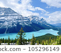 Canadian Rockies Pey Lake Peyto Lake 105296149
