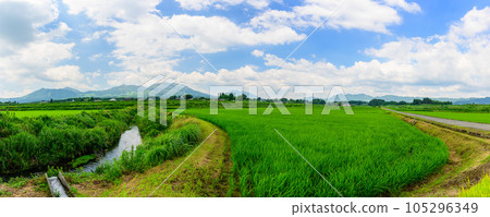 拍攝於南阿蘇白河水源站周邊“全線開通/恢復運行”(以阿蘇山為背景的田園風光和電車風景) 拍攝於南阿蘇白河水源站周邊“全線開通/恢復運行”(以阿蘇山為背景的田園風光和電車風景) 105296349