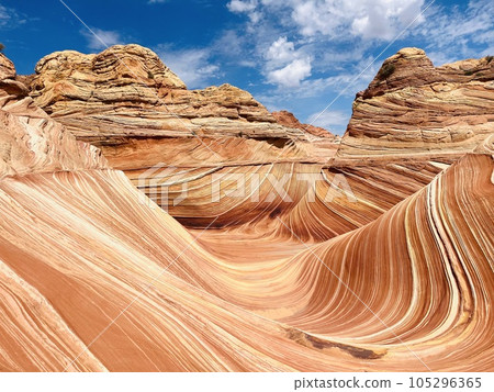 The Wave the Wave The Wave the Wave 105296365