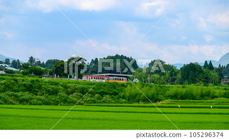 從南阿蘇白川水源站周邊拍攝的全景“全線開通、恢復運營”（以阿蘇山為背景的田園風光和電車風景） 105296374