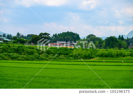 從南阿蘇白川水源站周邊拍攝的全景“全線開通、恢復運營”（以阿蘇山為背景的田園風光和電車風景） 105296375