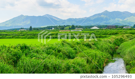 從南阿蘇白川水源站周邊拍攝的全景“全線開通、恢復運營”(以阿蘇山為背景的田園風光和電車風景) 從南阿蘇白川水源站周邊拍攝的全景“全線開通、恢復運營”(以阿蘇山為背景的田園風光和電車風景) 105296493