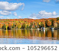 Fall foliage on Lake Ontario, Canada 105296652