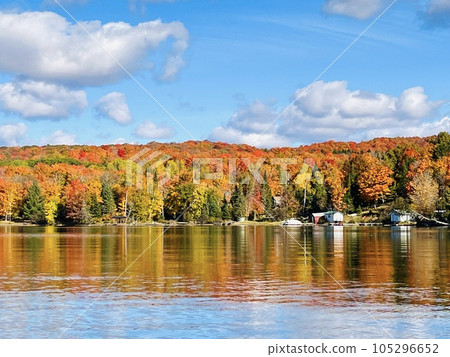 Fall foliage on Lake Ontario, Canada 105296652