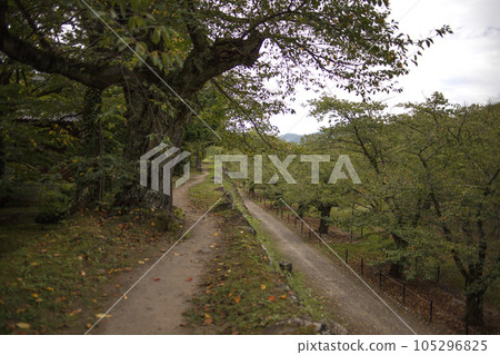 懷古園周邊風景 105296825