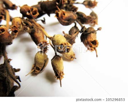 青銅龍種盆 青銅龍種盆 105296853
