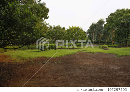 松戶中央公園 周邊風景 松戶中央公園 周邊風景 105297203