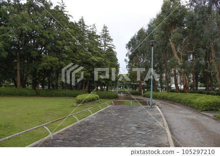 Matsudo Central Park Surrounding scenery Matsudo Central Park Surrounding scenery 105297210