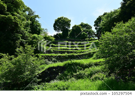 鳥羽城入口附近 105297504