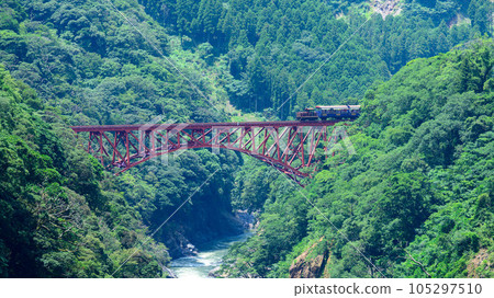 第一白河大橋 穿越鐵橋的無軌電車景色“全線開通、恢復運營”（從阿蘇朝陽橋周邊拍攝） 105297510