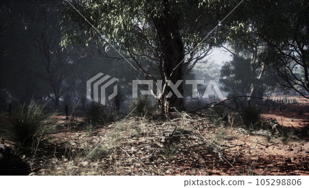 Coastal vegetation with trees and shrubs Coastal vegetation with trees and shrubs 105298806