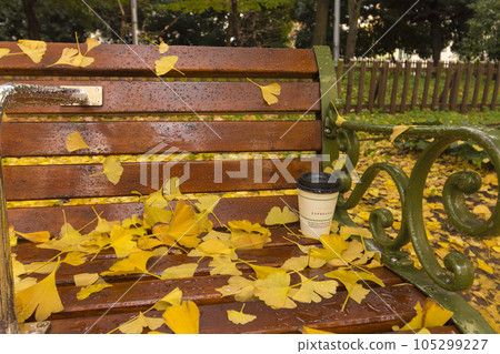 Landscape image with ginkgo Landscape image with ginkgo 105299227