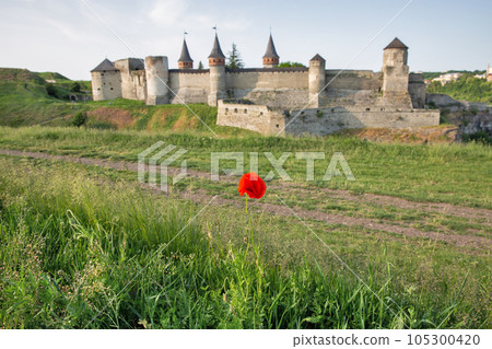 Blooming poppy in front of Castle in Kamianets-Podilskyi, Ukraine. 105300420