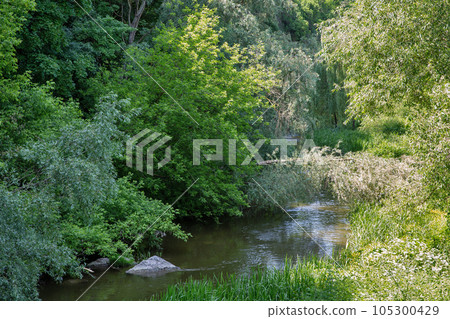 Smotrych river in canyon. Kamianets-Podilskyi, Ukraine. 105300429