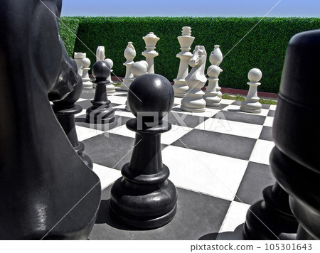 Chess in garden Chess in garden 105301643