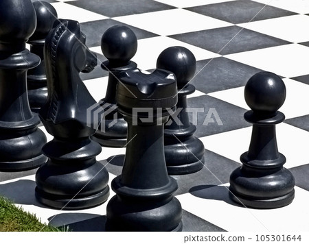 Chess 105301644