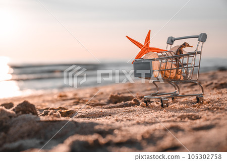 View Of Sunrise, In Foreground Basket With Shells, Seahorse And Star. Summer Is An Amazing Time To Shop For Seasonal Items And Get In Holiday Mood. View Of Sunrise, In Foreground Basket With Shells, Seahorse And Star. Summer Is An Amazing Time To Shop For Seasonal Items And Get In Holiday Mood. 105302758