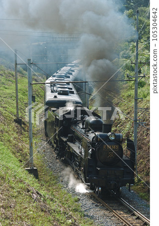 秩父鐵道 浦山口～影森 C58-363+12系 105304642