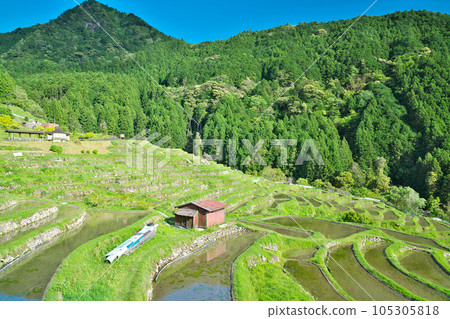 [Maruyama Chihada] Maruyama, Kiwa-cho, Kumano City, Mie Prefecture 105305818