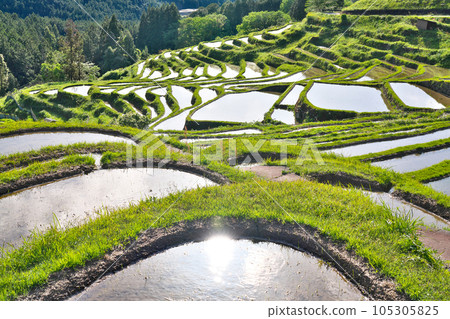 [Maruyama Chihada] Maruyama, Kiwa-cho, Kumano City, Mie Prefecture 105305825