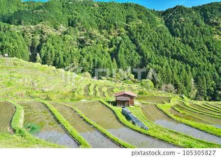 [Maruyama Chihada] Maruyama, Kiwa-cho, Kumano City, Mie Prefecture 105305827