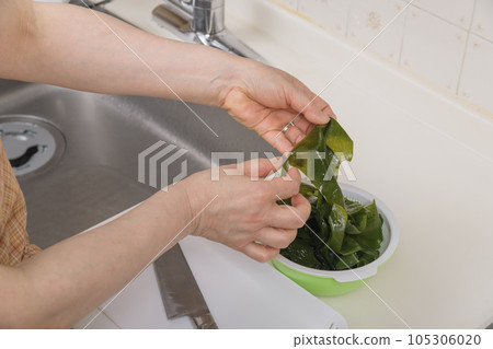 [Housewife cooking raw seaweed] 105306020