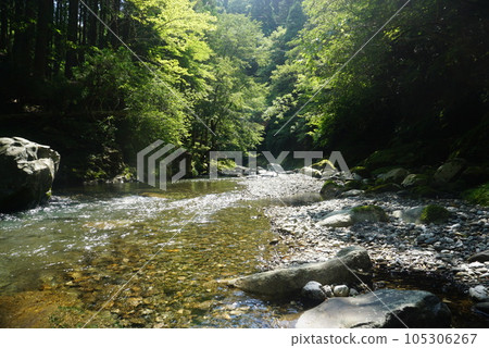 河邊綠意盎然 河邊綠意盎然 105306267