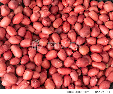 Peanuts, Roasted Arachis Nuts Pile, Heap of Pea Nut, Whole Groundnut with Shell, Peanut Peanuts, Roasted Arachis Nuts Pile, Heap of Pea Nut, Whole Groundnut with Shell, Peanut 105306923