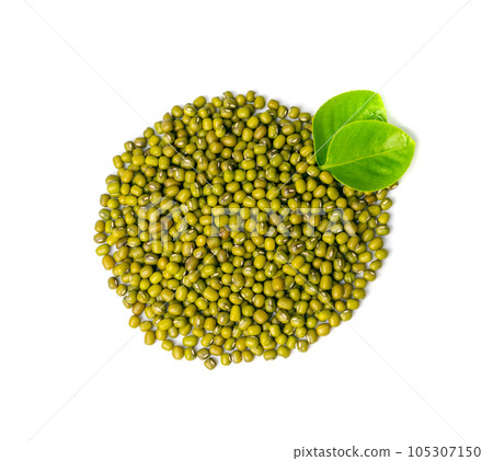 Dry Raw Mung Beans, Vigna Radiata Seeds, Green Gram, Maash or Moong Dry Raw Mung Beans, Vigna Radiata Seeds, Green Gram, Maash or Moong 105307150