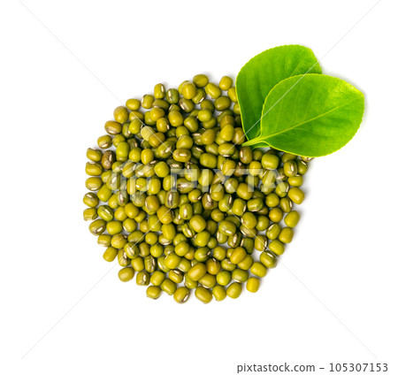 Dry Raw Mung Beans, Vigna Radiata Seeds, Green Gram, Maash or Moong Dry Raw Mung Beans, Vigna Radiata Seeds, Green Gram, Maash or Moong 105307153